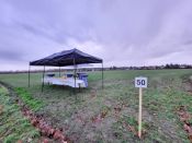 Hier tut sich was! Die neue Kita auf dem Butenfeld in Fredersdorf-Vogelsdorf nimmt Gestalt an – Richtfest am 27. September 2024. Foto: Alexander Bellmann