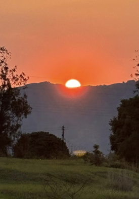 Afrikanischer Sonnenuntergang. Foto: Hans-Georg Furian