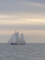 Wir legen ab, nichts hält uns im Hafen – Familien- und Jugendsegelfreizeit 2025 des Kirchenkreises Berlin Süd Ost. Foto: Andreas Hirth
