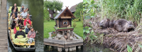 Stau, Staatsbesuch und Spreewälder Gurken: Betriebsausflug der Kolleginnen und Kollegen aus dem Haus des Kirchenkreises nach Lübbenau. Fotos: Kauert/Kirchenkreis