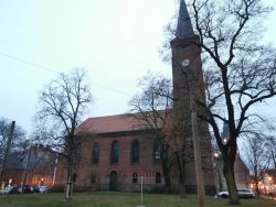 Chanukkia vor der Köpenicker Stadtkirche. Foto: Dr. Tanja Kasischke