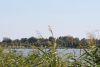 Freizeitheim "Pfarrhaus Wanzka" am Wanzkaer See im Sommer 2018. Foto: Jürgen Bosenius / kklios.de