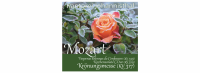 Kantorei Johannisthal – Mozart, Krönungsmesse (KV 317) am Sonntag, 12. November 2023, 17 Uhr in der Christuskirche Oberschöneweide