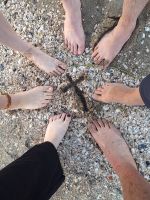 Wir legen ab, nichts hält uns im Hafen – Familien- und Jugendsegelfreizeit 2025 des Kirchenkreises Berlin Süd Ost. Foto: Mandy Endter