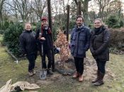 Eine Eiche für Ava – der lange Weg einer Eiche(l) aus dem Volkspark Friedrichshain bis zum Waldfriedhof in Schöneiche. Foto: Jürgen Bosenius